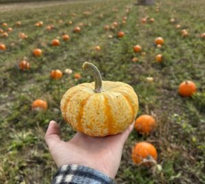 a hand holding a pumpkin