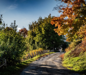 Cocooning - Verger Barry